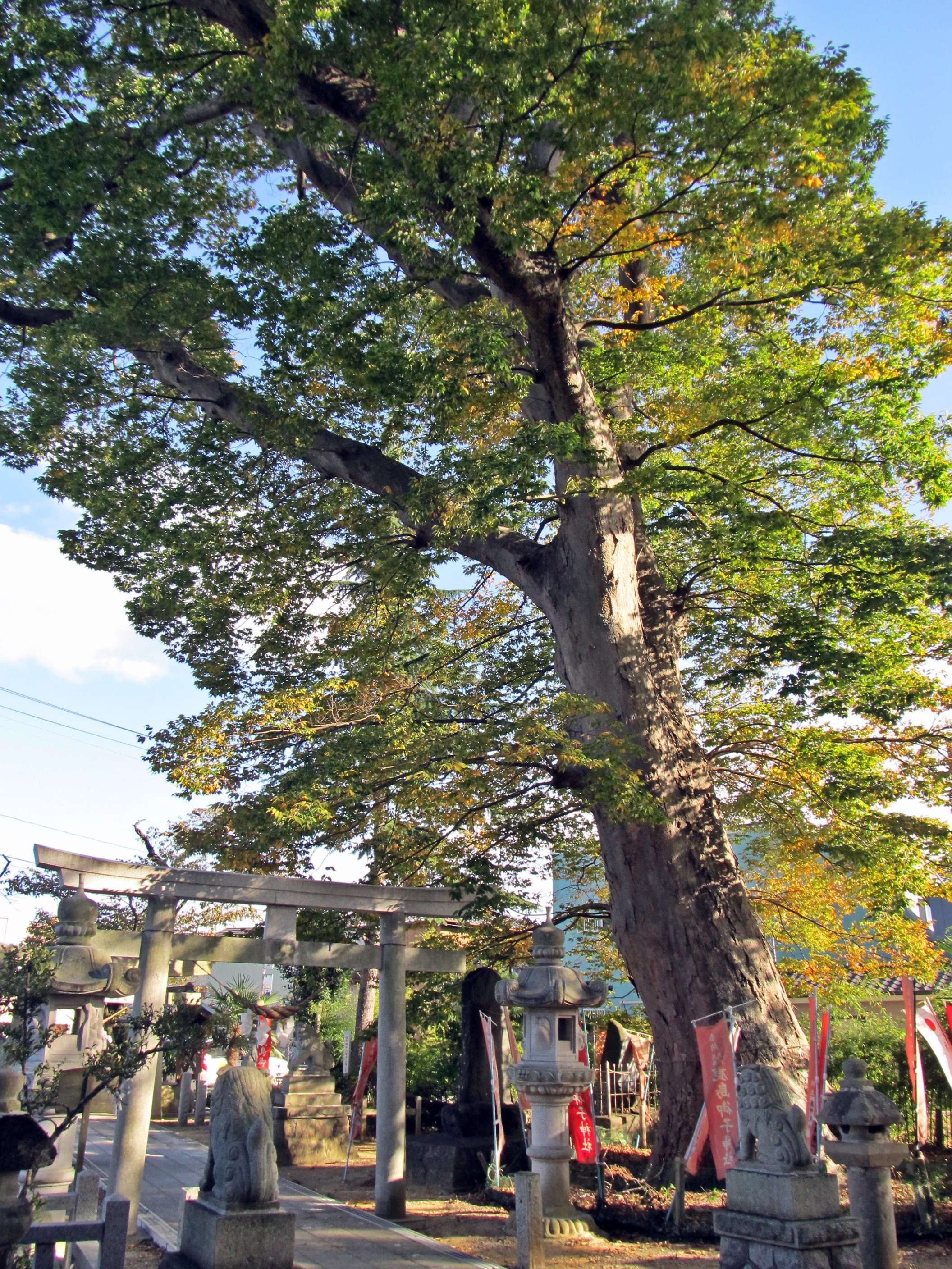 ⛩️ 이치노야 야사카 신사 이미지 6